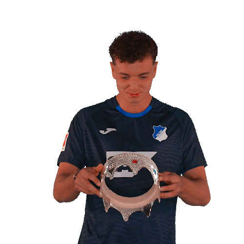 Sport Bundesliga Sticker by TSG Hoffenheim