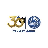 30 Anos Sticker by Colégio Anglo Morumbi