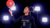 College Basketball GIF by Wright State University Athletics