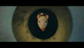 Pop Rock Mask GIF by Thriller Records