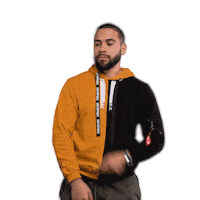 P4L Sticker by Emile Machado