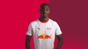 Dr Congo Celebration GIF by RB Leipzig