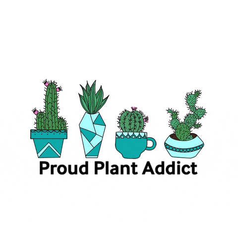 The_plant_farm giphygifmaker plant plants cactus GIF