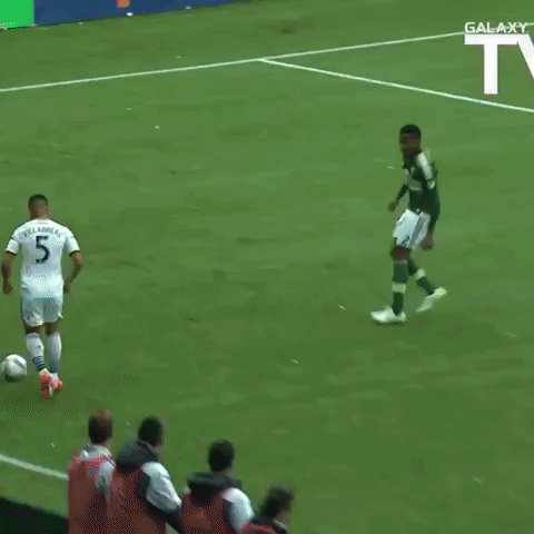 porvla GIF by LA Galaxy