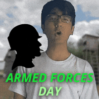 Armed Services Day GIF