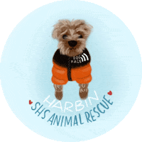 Dog Sticker