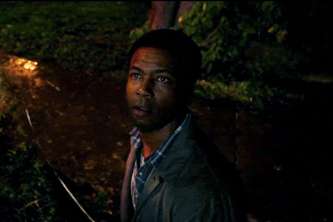 Oldflowers giphyupload james mcavoy bill denbrough it chapter one GIF