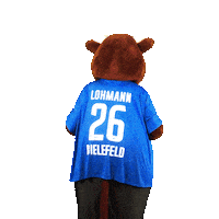 Point Mascot Sticker by DSC Arminia Bielefeld