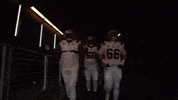 Super Bowl Football GIF by New England Patriots