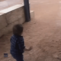 Excited Toddler Sees Rain for the First Time on His Family Farm