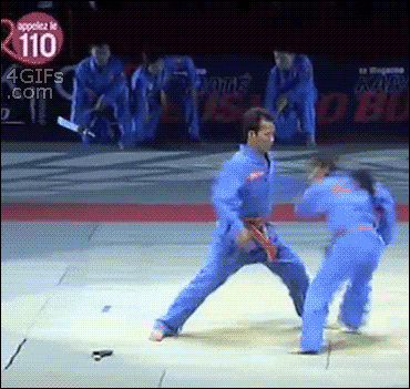 Martial Arts Fighting GIF