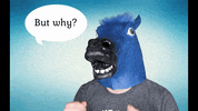 manentail what horse why sassy GIF