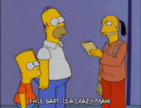 homer simpson episode 13 GIF