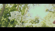 I Am Here Dance GIF by Topshelf Records
