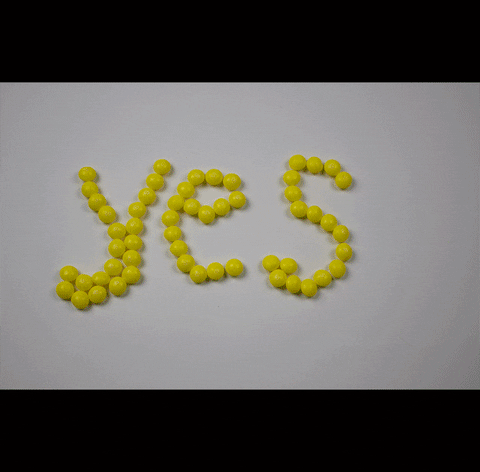 stop motion yes GIF
