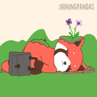 I Dont Want To Go Red Panda GIF