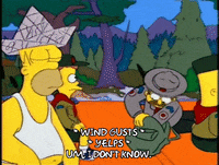 homer simpson GIF
