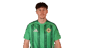Oh Yeah Football Sticker by Northern Ireland