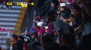 GIF by TD Más