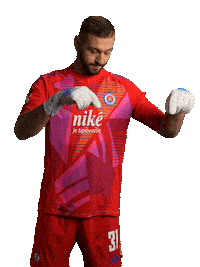 Slovan Futbal Sticker by Ruka Hore
