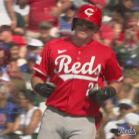 Baseball Mlb GIF by Cincinnati Reds