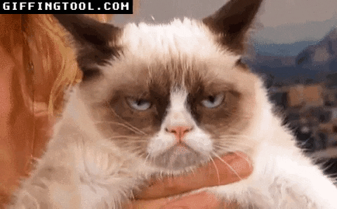 giphyupload GIF