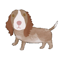 Dog Puppy Sticker by breadcrumbsclub