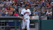 minor league baseball what GIF