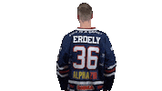 Ice Hockey Sticker by Fehervar AV19