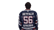 Ice Hockey Sport Sticker by Fehervar AV19