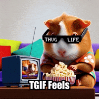 Friday Night GIF by Guinea Gambino