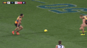 round 20 afl GIF by Adelaide Crows