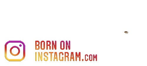 Vishalboi100 Sticker by BORN ON INSTAGRAM