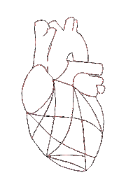 Heart Love Sticker