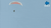 Hertha Berlin Football GIF by MolaTV
