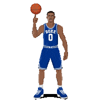 Brooklyn Nets Basketball Sticker by SportsManias