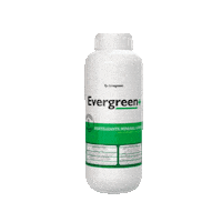 Evergreen Sticker by sthefanibioagreen