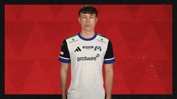 Hamburger Sv Football GIF by Bundesliga