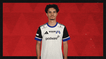 Hamburger Sv Applause GIF by Bundesliga