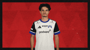 Hamburger Sv Football GIF by Bundesliga