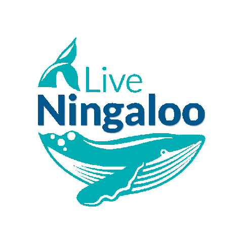 LiveNingaloo giphygifmaker exmouth ningaloo whale sharks Sticker