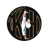 Ken Testing Sticker by Leveluptaekwondo