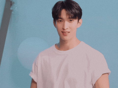 Dk 세븐틴 GIF