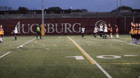 local soccer GIF by Minneapolis City SC