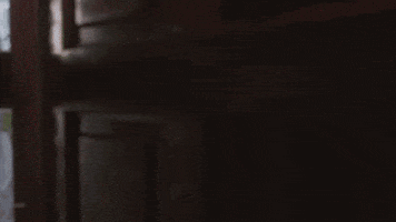 Proud Julius Caesar GIF by Checkatrade.com