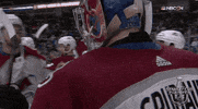happy ice hockey GIF by NHL