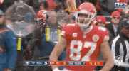 National Football League GIF by NFL