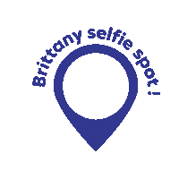 Selfie Bf Sticker by Brittany Ferries