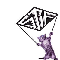 Stifmtb stif stifmtb santacruzbikes stifbikes Sticker