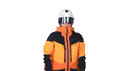 Winter Ski Sticker by sebastianzier
